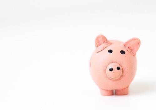 Piggy-Bank-Large.jpg
